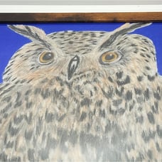 Handmade Framed Pencil Art Horned Owl Colored Drawing 8x10 inch One of a Kind