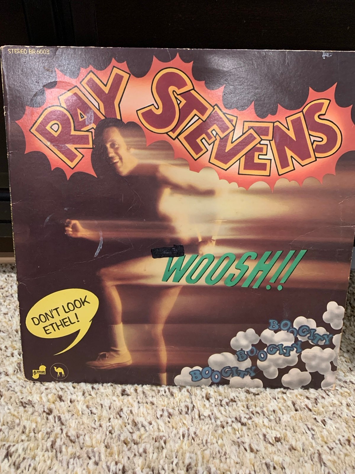 Vinyl record