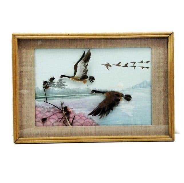 Bird Picture Real Feathers Flying Geese