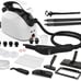 Steam Cleaner, Multipurpose Powerful Steamer with 21 Accessories, Portable