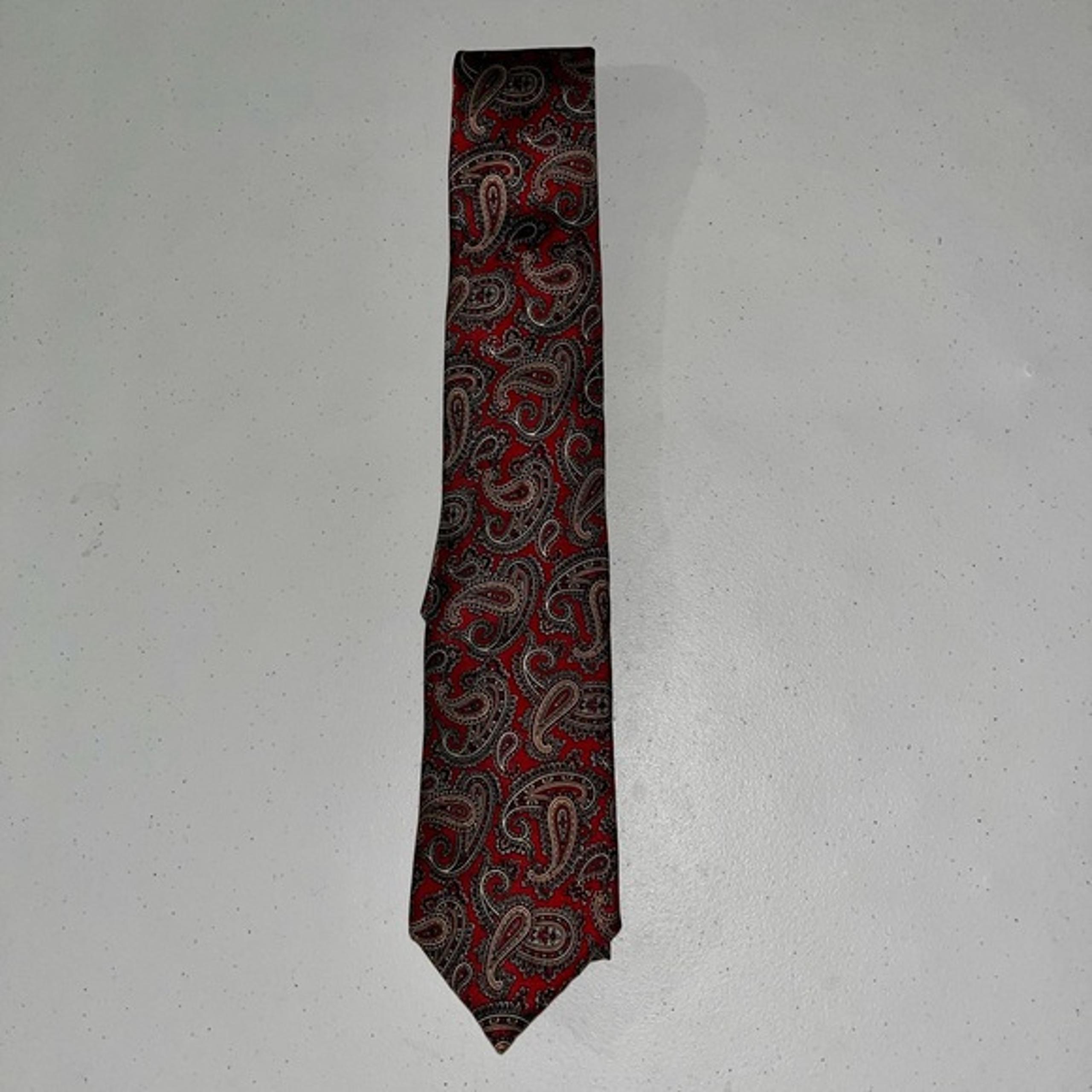 NWOT Christian Dior Paisley Tie