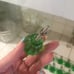 20 Green Glass Knobs