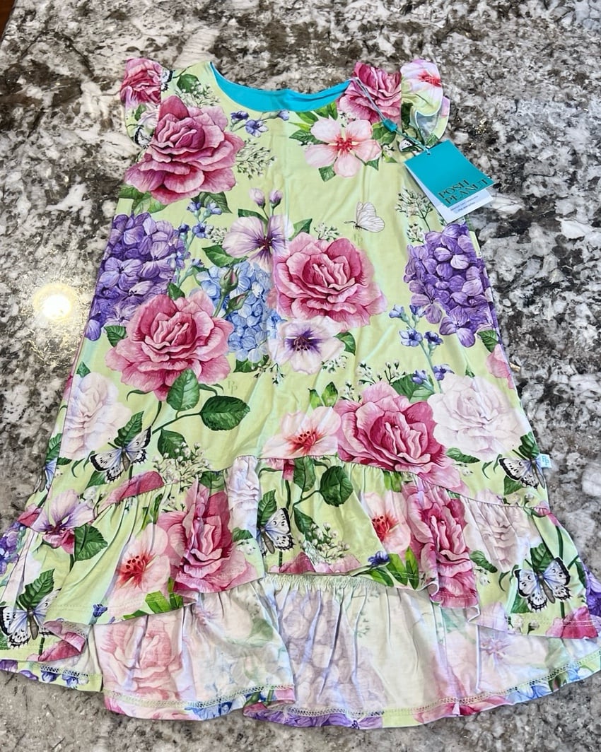 Posh Peanut Georgina Ruffled Hi-Lo Dress NWT