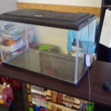 aquarium