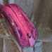 VS pink floral lace jelly makeup bag cosmetic case NWT
