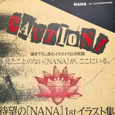 NANA 1st Illustrations Art Book Yazawa Ai Japanese w/Sticker & Dust Jacket OOP