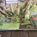 Stephen King The Girl Who Loved Tom Gordon Pop Up Book