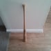 Tony Gwynn signed baseball Bat