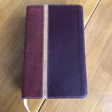 Parallel Study Bible NIV/The Message