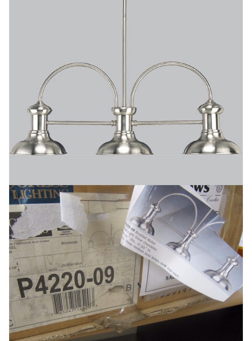 lighting fixture NIB