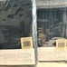 Calvin Klein Textured Shams Deep Forest Green Set of 2 /PICK UP ONLY W Orange NJ