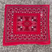 Vintage Bandana Lot Fast Color USA