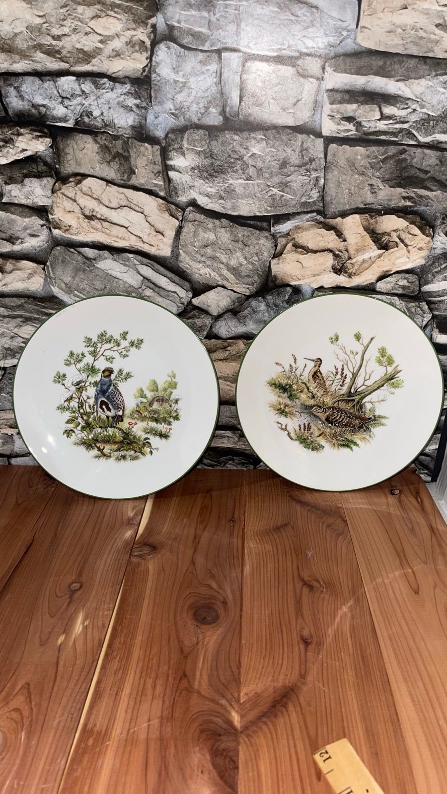 PAIR OF VINTAGE BAVARIAN WOODLAND GAME BIRDS SNIPE PARTRIDGE IN THE FOREST PLATE