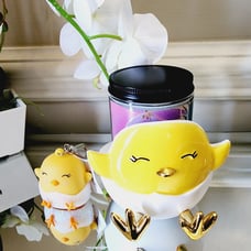 Bath and body works Chick feet single wick candle holder and pocketbac holder 2p