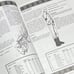 Brand New Fright Night d20 RPG, What Went Down