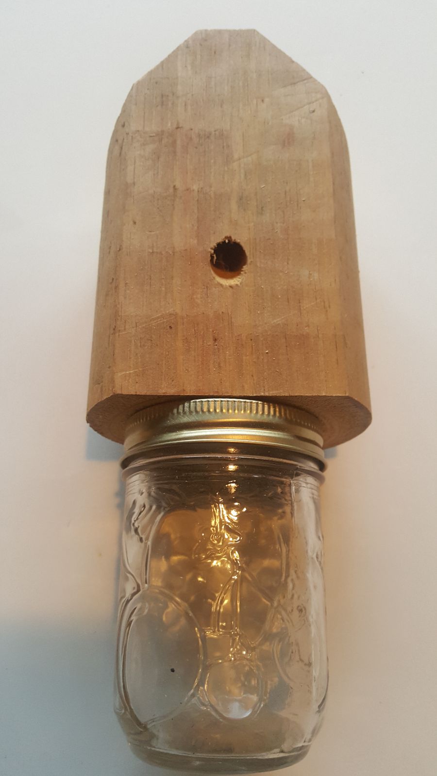 Carpenter bee traps 5 pack made in the U