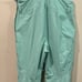 The North Face Women’s Plus Freedom Ski Snow Bib Pant In Wasabi Sz 1X NWT