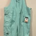 The North Face Women’s Plus Freedom Ski Snow Bib Pant In Wasabi Sz 1X NWT