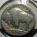 1937 D 5c buffalo nickle
