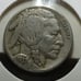 1937 D 5c buffalo nickle