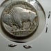 1937 D 5c buffalo nickle