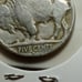 1937 D 5c buffalo nickle