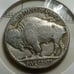 1937 D 5c buffalo nickle