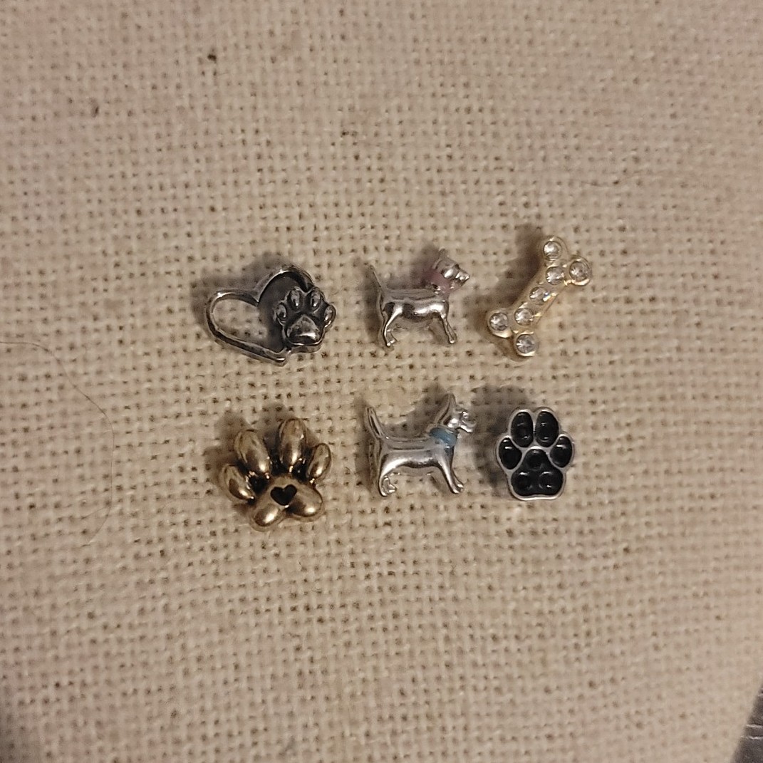 Origami Owl Charm Set