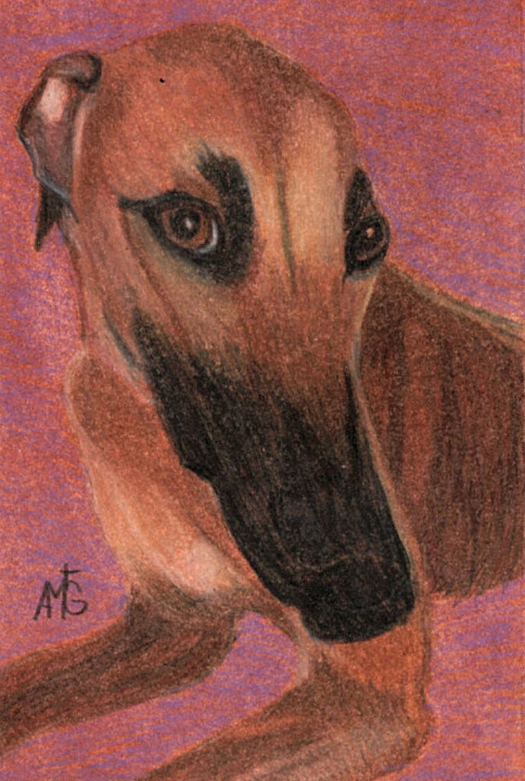 Original Greyhound Oil and Colored Pencil Portrait