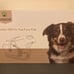 EINOOR Pet Dog Grooming Kit Vacuum 3L Capacity 7 Heads 4 Combs Low Noise-NEW