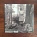 Folklore stolen lullabies vinyl