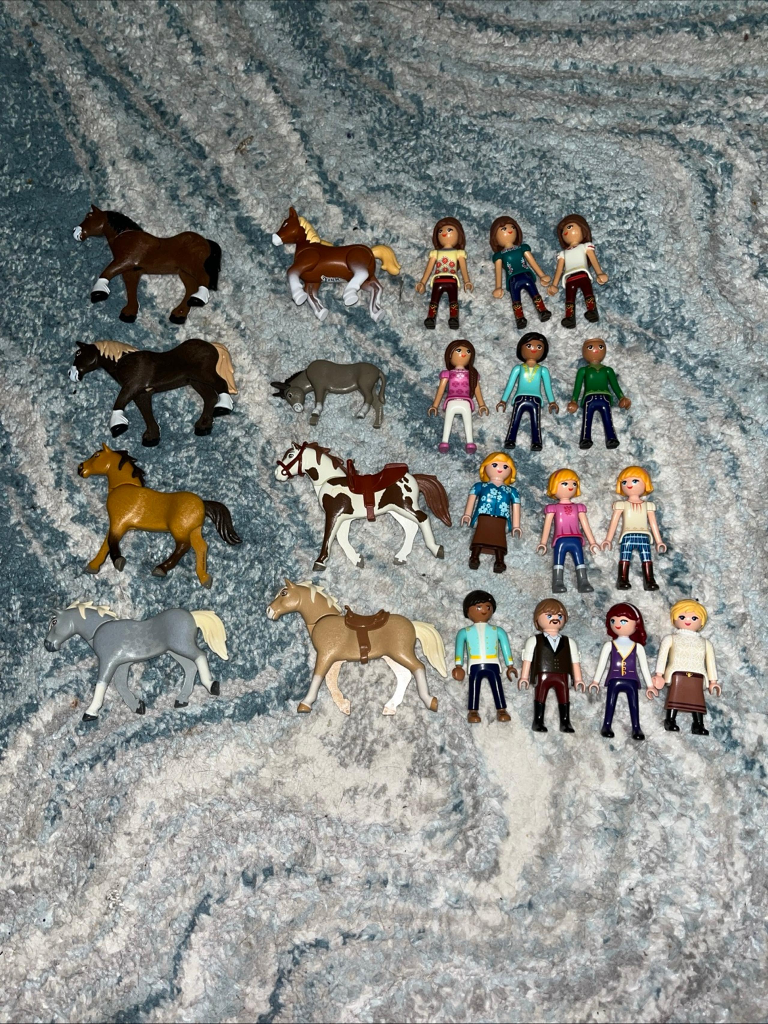 Spirit Riding Free Playmobil Lot