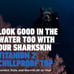 Sharkskin 2 Chillproof Jacket
