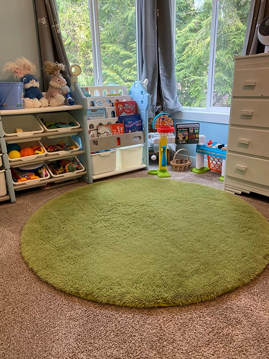 Grass Green Round Rugs 5Ft for Bedroom, Fluffy Shaggy Circle Area Rugs for Kids