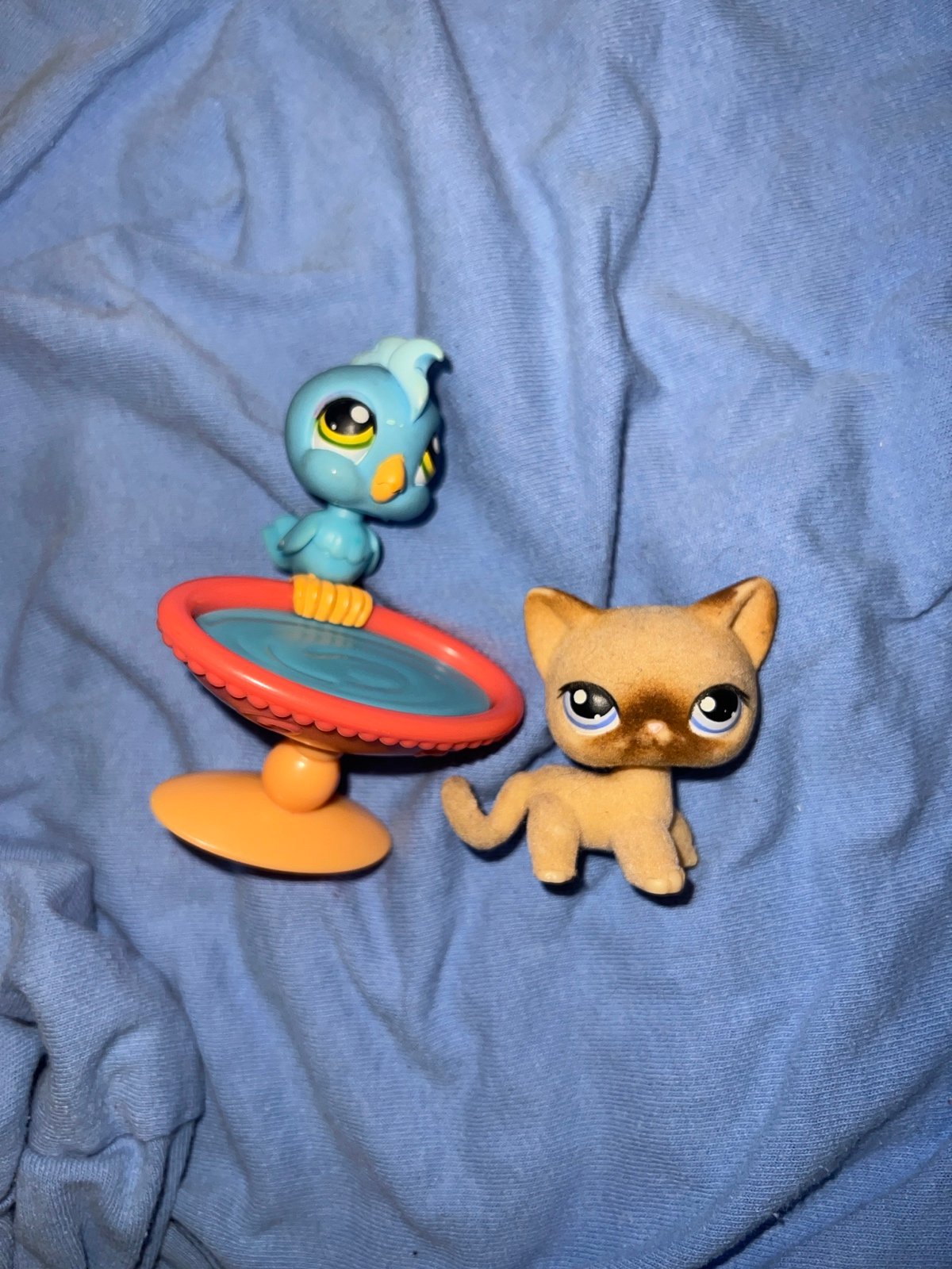 LPS Shorthair & bird