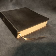 One Year Nlt New Living Translation Expressions Bible Brown Leather Journaling