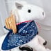 Cowboy Horse Diaper Cake, Baby Shower Gift
