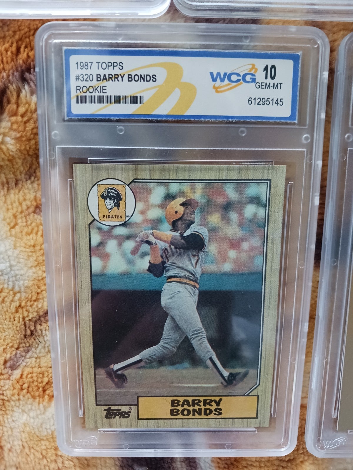 Rookie
