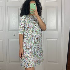 Saloni Billie Button Front Shirtdress Sz 4