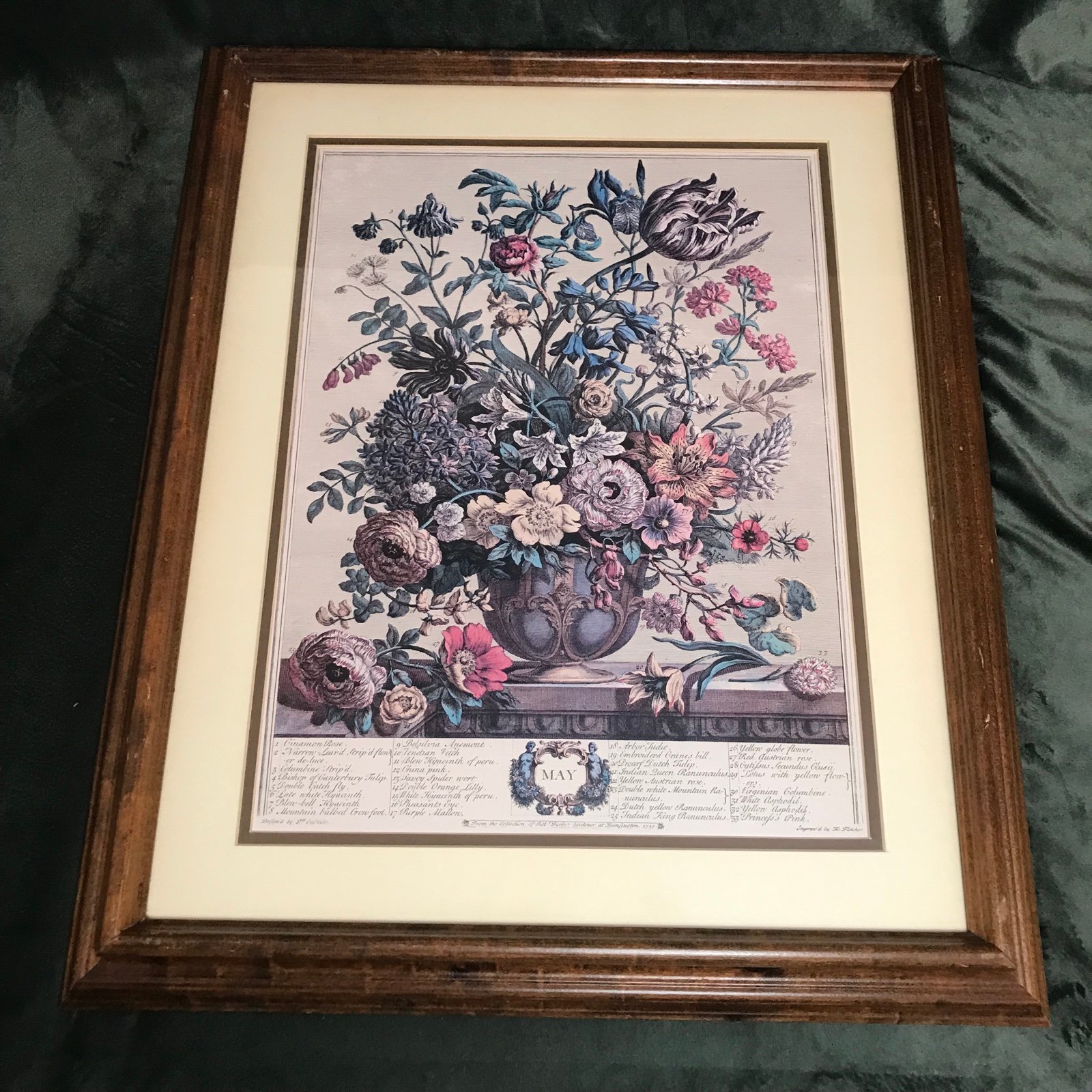 Vintage Robert Furber May Framed Matted Botanical Print H Fletcher Engraver