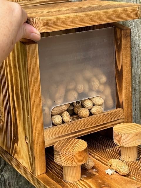 Squirrel Feeders for Outside Wooden Squirrel House