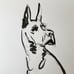 Great Dane Dog Portrait Painting New Art