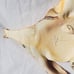 Vintage Handmade Ceramic Pottery Wall Plaque Fish Signed