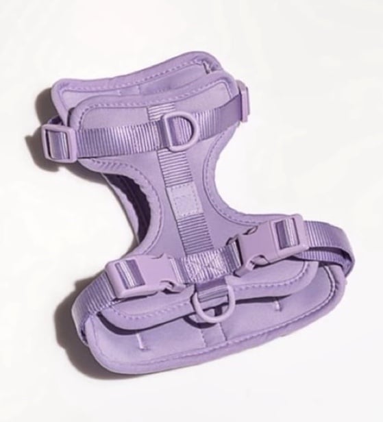 WILD ONE • Dog Harness in Lilac • Size Small