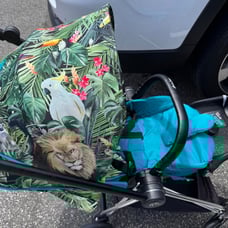 Stroller Cybex DJ Khaled