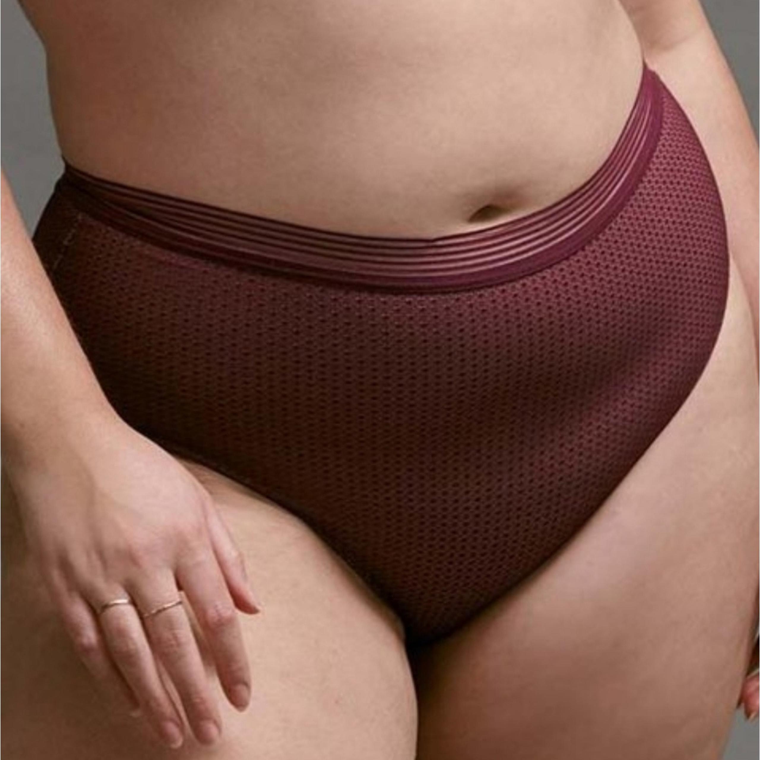 Brand New Women's Thirdlove Modern Mesh High Brief Mesh Sheer Panty Pinot NWT