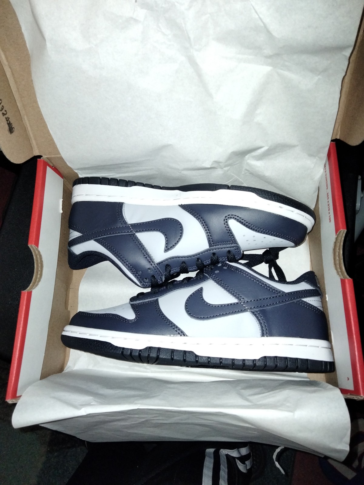 Nike Dunk Low (GS) Georgetown