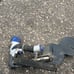 Crossfire Nail gun Spotnails