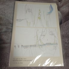 Liz and the Blue Bird Artbook