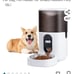 Auto feeder (pets)